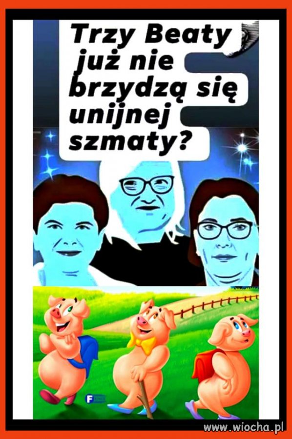 Tego można było się spodziewać