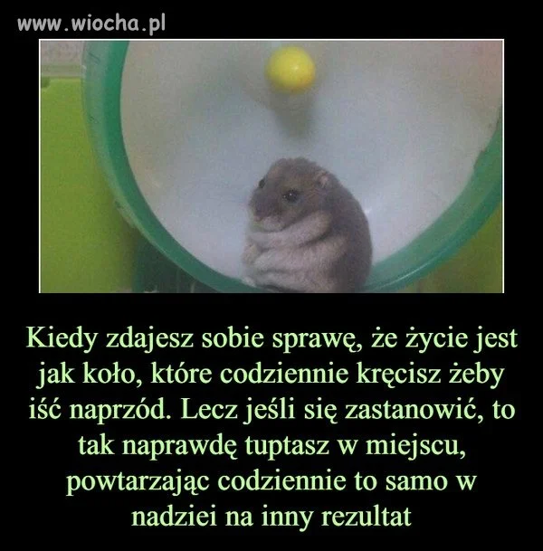 100 %