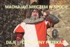 Logika pisu którą...