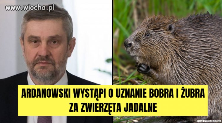 Głupota ludzka