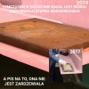 Obraz z pisowskiej krainy absurdu i fantasmagorii