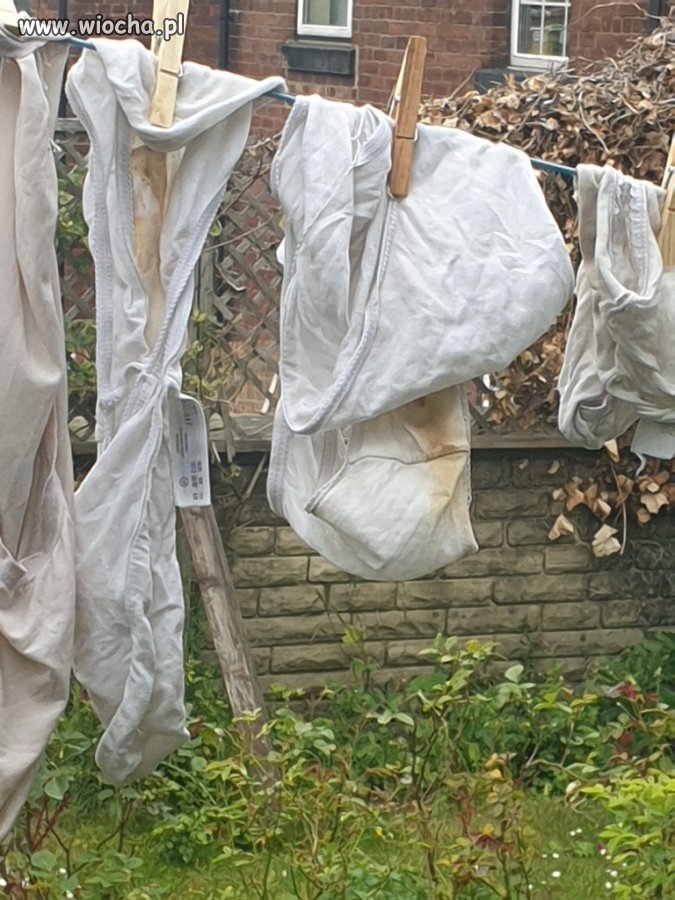 Sąsiadka wywiesiła pranie