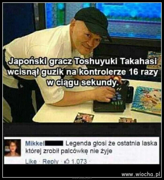Taka japońska
