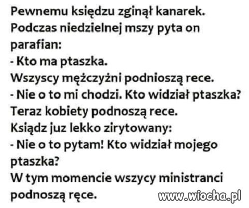 Taki tam żart