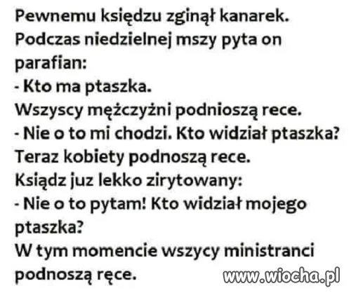 Taki tam żart