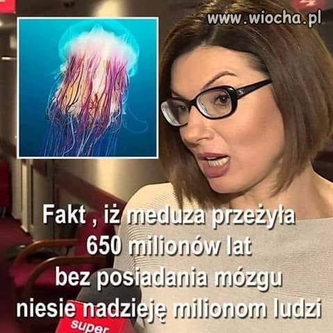Rodzi się nadzieja