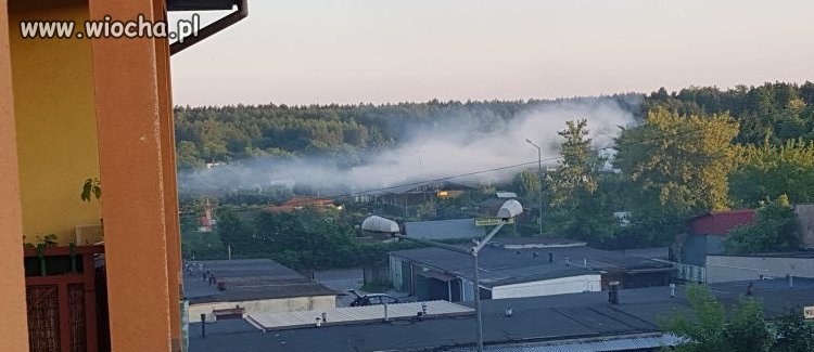 Tarnobrzeg działkowcy rozpoczynają sezon