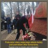 Ciągnie wilka (wylniałego) do lasu