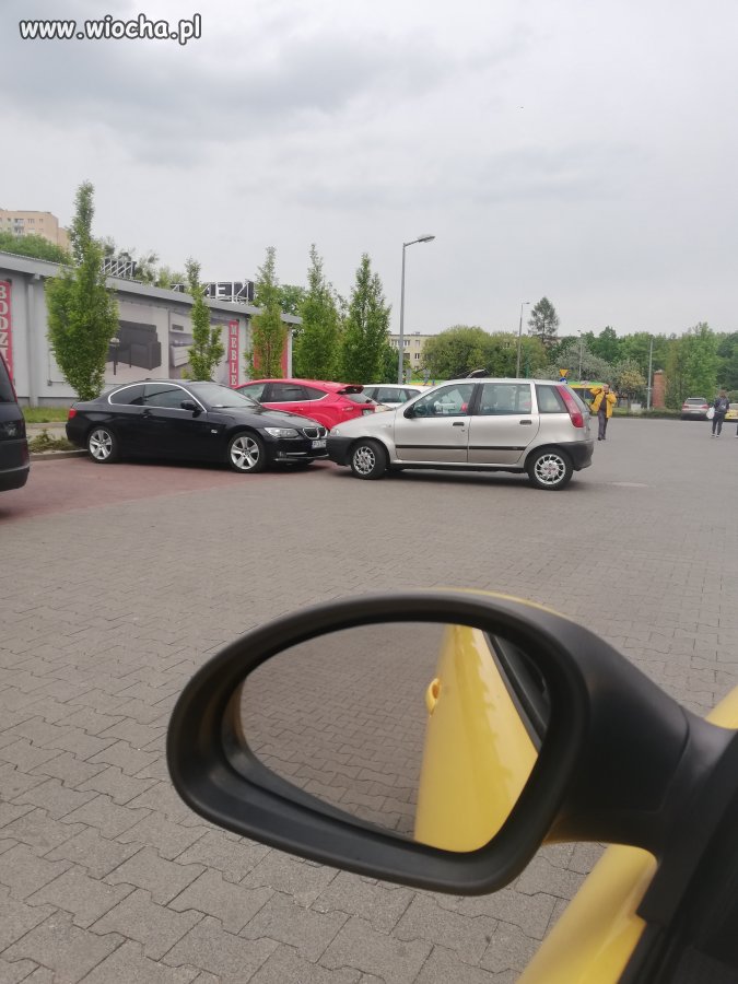 Mistrz parkowania