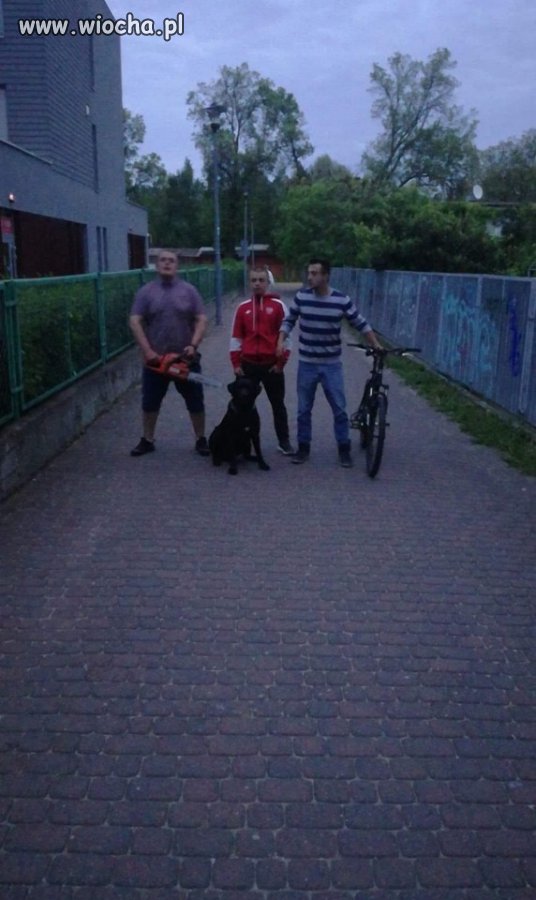 Kołobrzescy gangsterzy