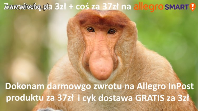 Allegro