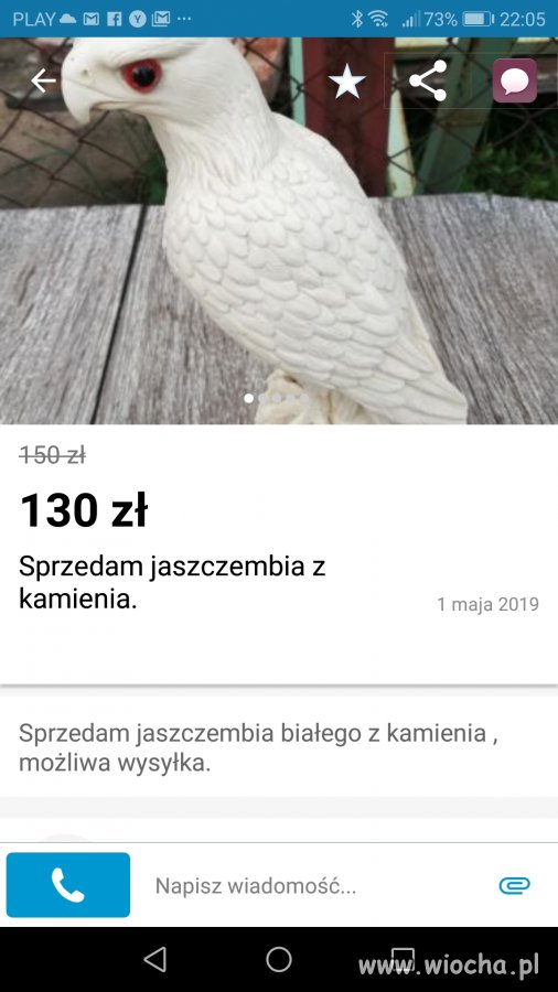 Jaszczembia czy raczej orzeła? 