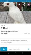 Jaszczembia czy raczej orzeła? 