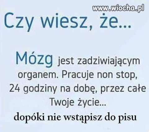 Przestaje działać