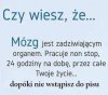 Przestaje działać