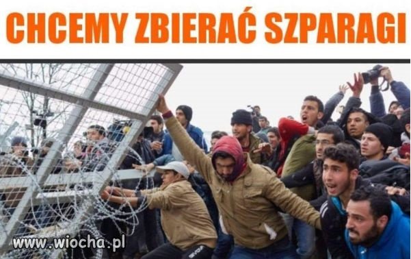 Biedni uchodźcy szturmują granice w 