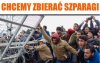 Biedni uchodźcy szturmują granice w 