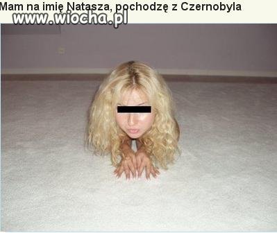 Ogłoszenia 