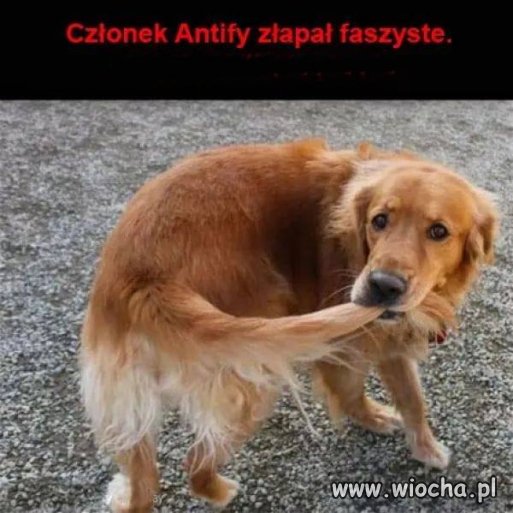 Taka sytuacja...