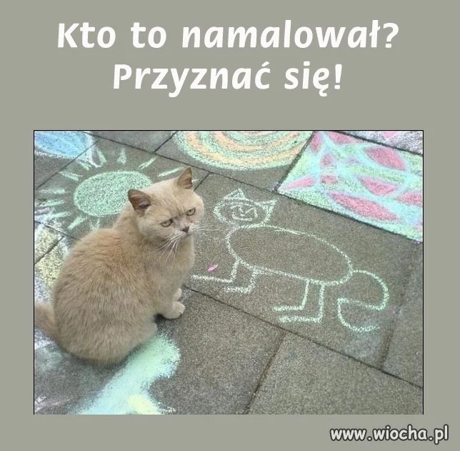Zdegustowany...