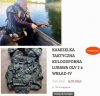 W kamizelce kuloodpornej na ryby
