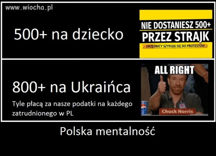 Dla swoich żałują...