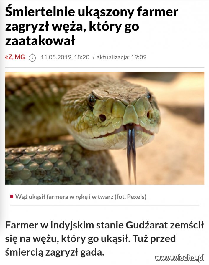 Oko za oko