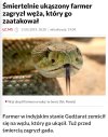 Oko za oko