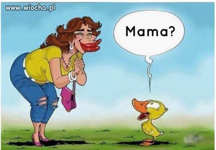 Ups