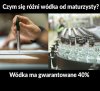 Wódka