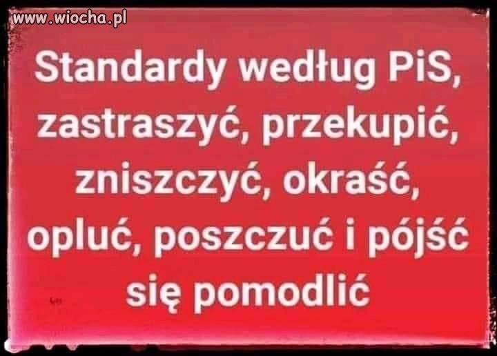Pis w jednej pigułce