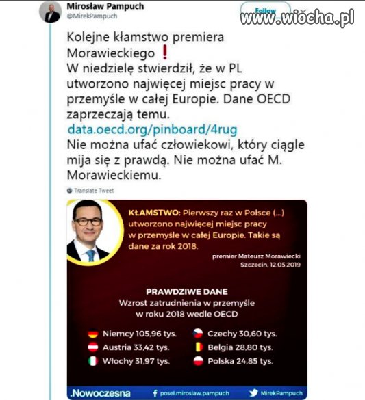 A nos Pinokia rośnie