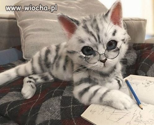 Czy kiedykolwiek zrozumiałeś lub wyjaśniłeś to jeszcze raz?
