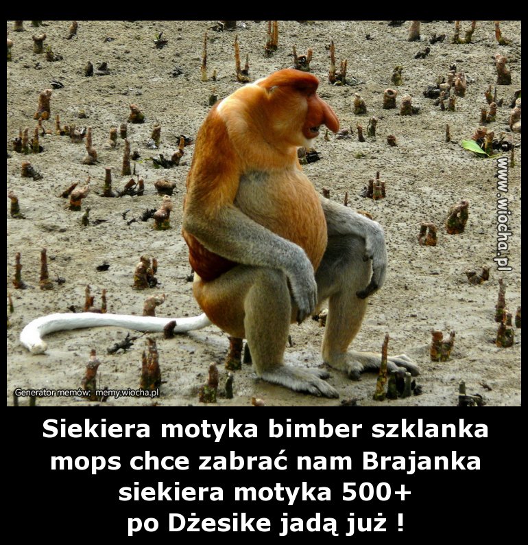 Siekiera motyka bimber szklanka