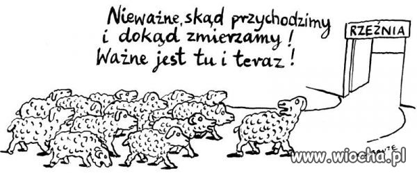 Tak myśli większość