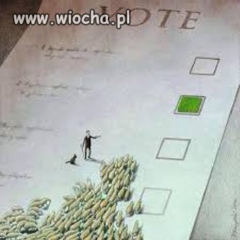 Barany nie pragną wolności