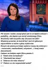 Pogromcy pedofilów