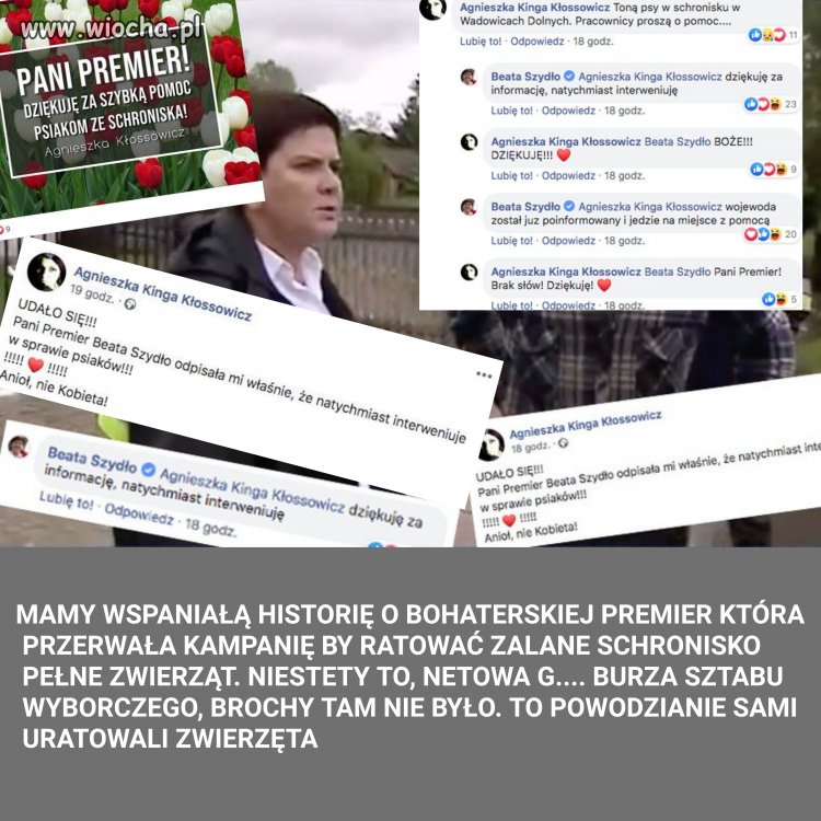 Matka Boska Szydłowska vel Pisowska