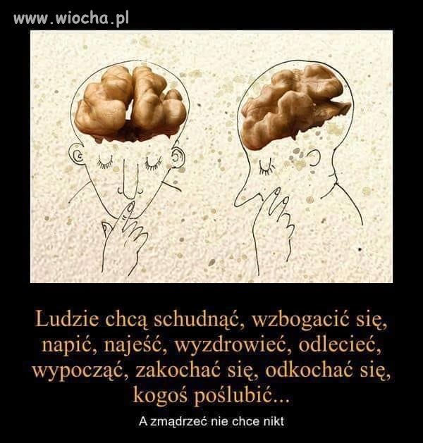 Coś w tym jest