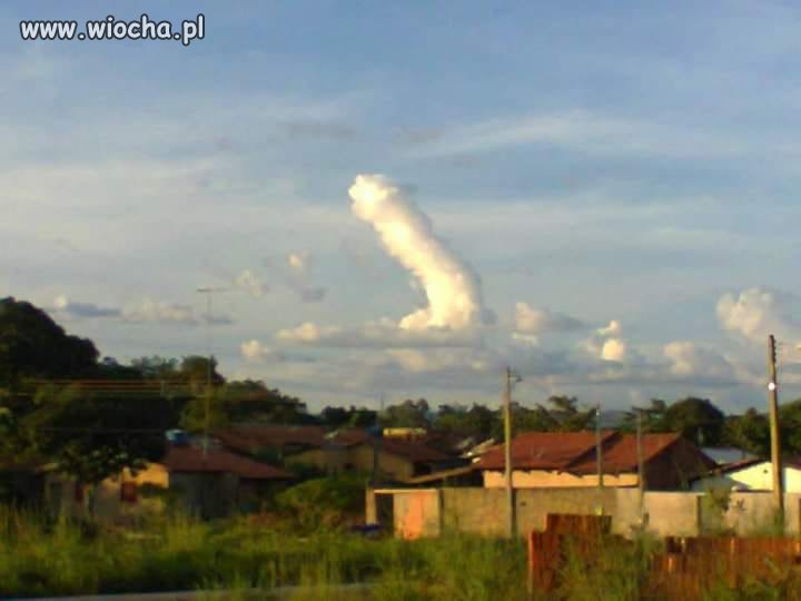 Na Podlasiu wiernym ukazał się cud.