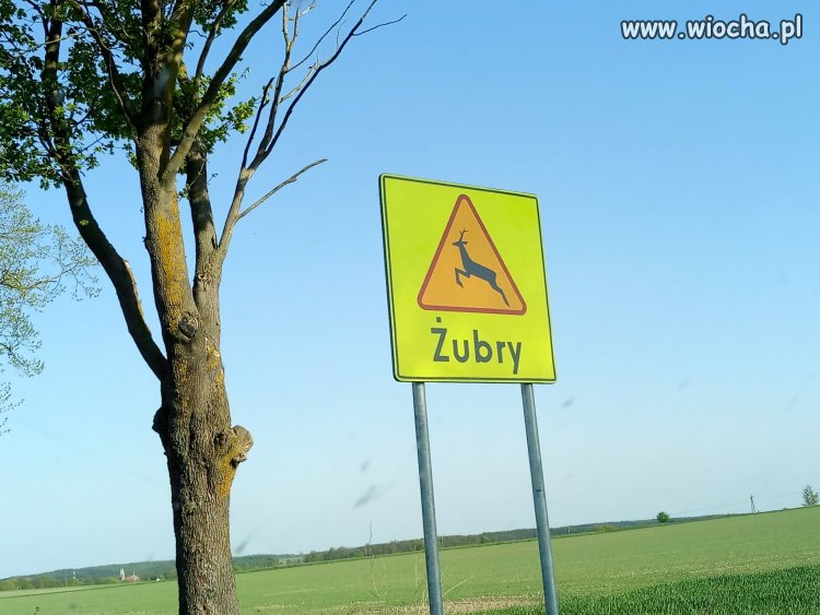A taki znak: