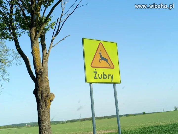 A taki znak: