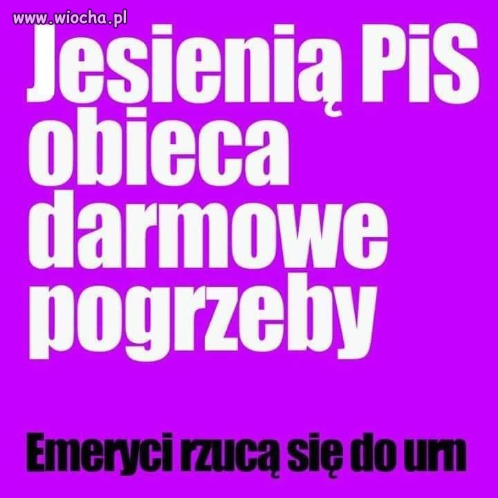 Obiecanki cacanki ... Przecież wiadomo, że katabas