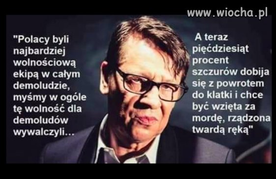 Cytat:
