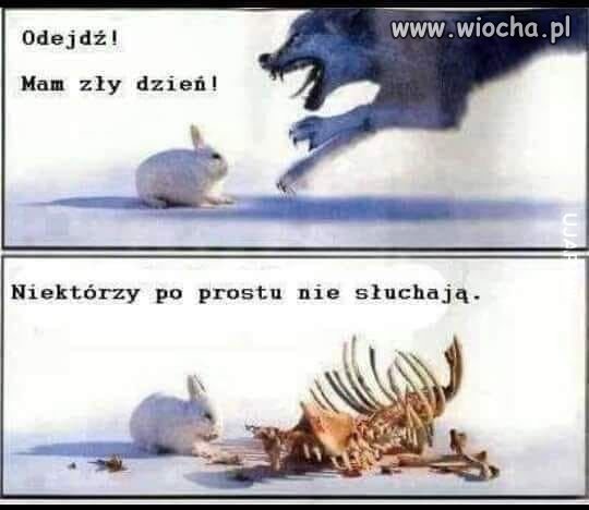 Poniedziałek