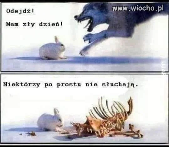 Poniedziałek