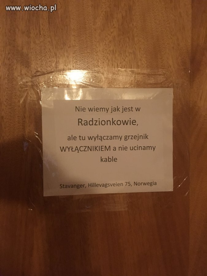 Jak bezmózg z Radzionkowa wyląduje w Stavanger