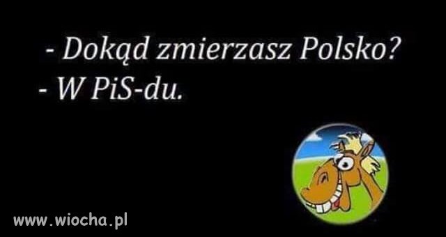 Quo vadis Polsko ?