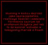Głos rozsądku 