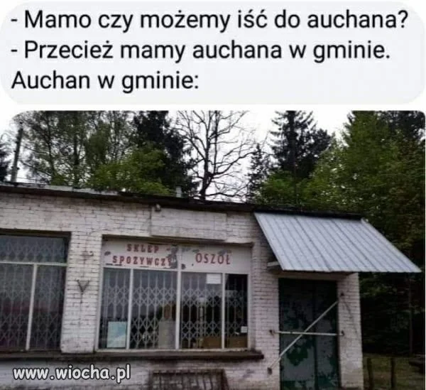 Auchan w gminie